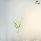 Astilbe White (4-5 Stems) - Pudu Ria Florist Southern