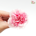Preservative Carnation (8 Blooms) Mariah Pink - Pudu Ria Florist Southern