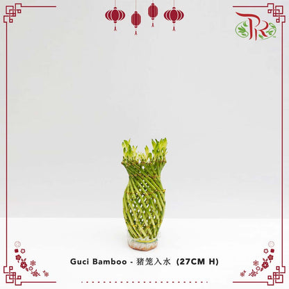 Guci Bamboo (猪笼入水) - 27CM (H) - Pudu Ria Florist Southern