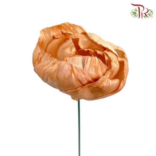 Dry Sola Rose Big - Orange - Pudu Ria Florist Southern