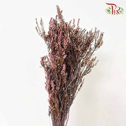 Dry Erica - Pudu Ria Florist Southern