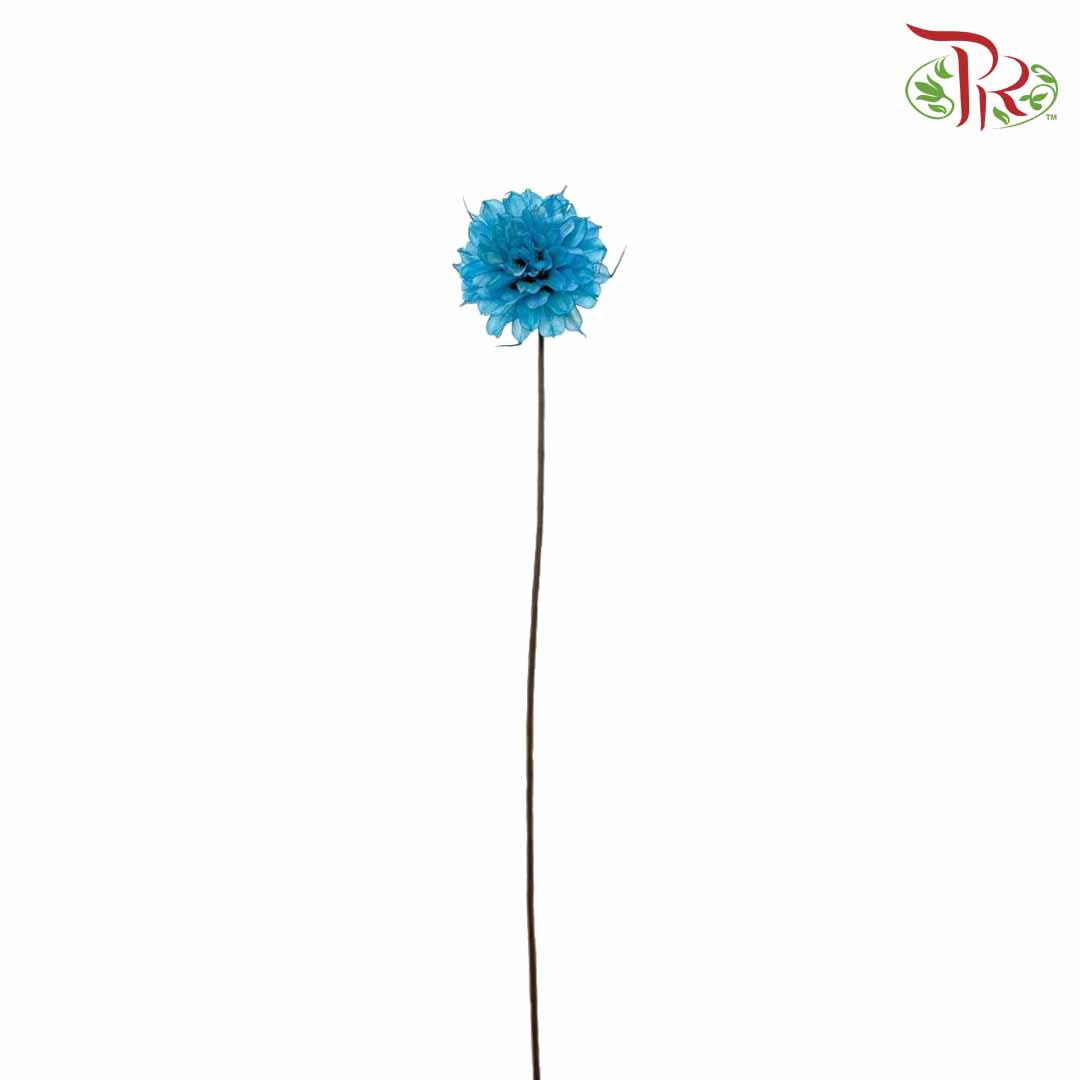 Dry Small Liju - Blue - Pudu Ria Florist Southern