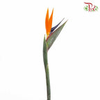 Bird Of Paradise (5 Stems) - Pudu Ria Florist Southern