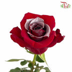 Rose Christmas Silver (8-10 Stems) - Pudu Ria Florist Southern