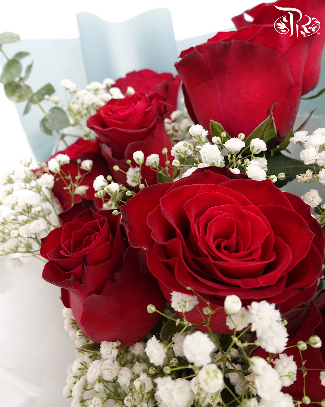 Red Rose Bouquet (10 stems)