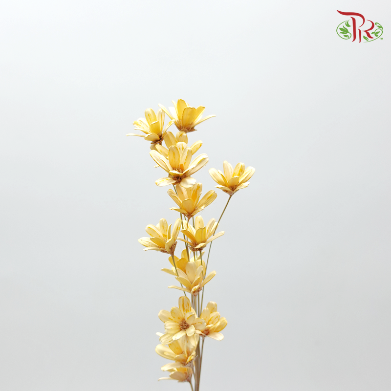 Preservative Petite Flower - Orange - Pudu Ria Florist Southern