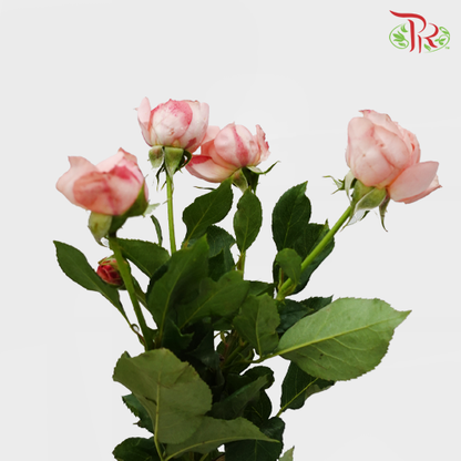 Rose Spray Premium Juliet Tower (8-10 Stems) - Pudu Ria Florist Southern