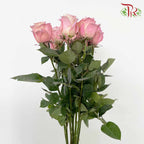 Rose Mondial Dyed Aurora Boreal (8-10 Stems) - Pudu Ria Florist Southern
