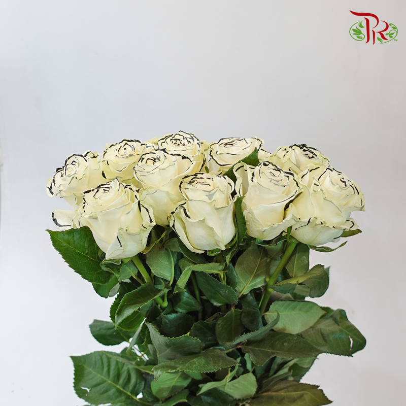Rose Outliner (8-10 Stems) - Pudu Ria Florist Southern