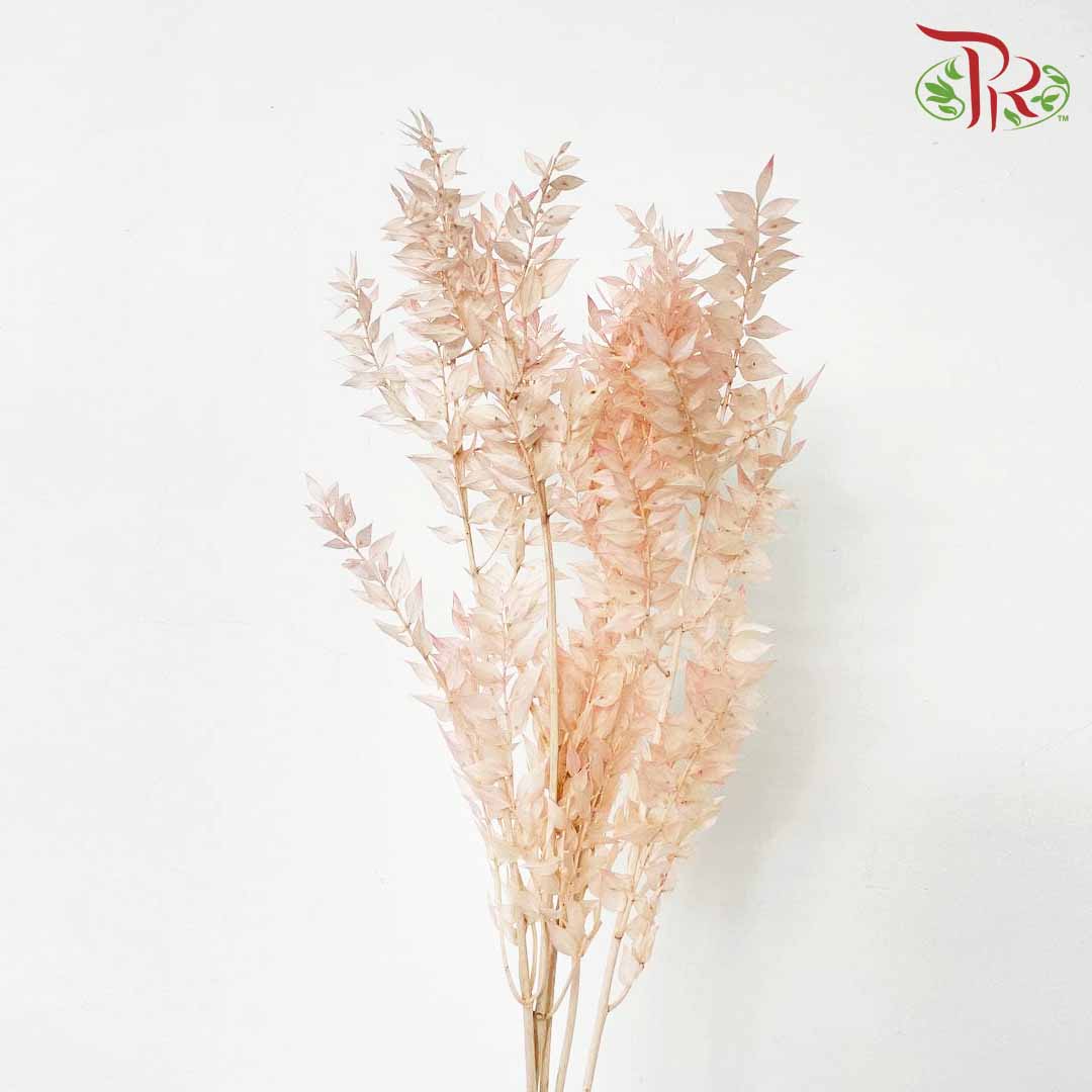Dry Ruscus Aculeatus - Light Pink - Pudu Ria Florist Southern