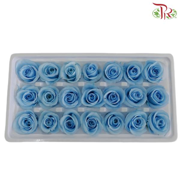 21 Bloom Preservative Rose - Light Blue