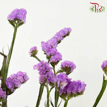 Statice Purple - Pudu Ria Florist Southern