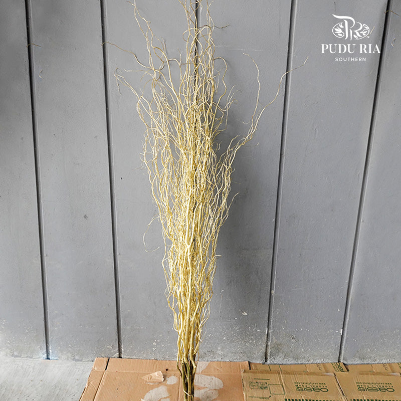 龙柳 Salix Gold - 15 Stems - Pudu Ria Florist Southern