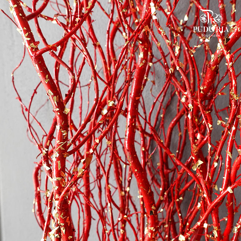 龙柳 Salix Red - 15 Stems