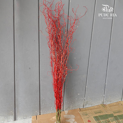 龙柳 Salix Red - 3 Stems - Pudu Ria Florist Southern