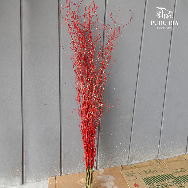 龙柳 Salix Red - 15 Stems - Pudu Ria Florist Southern