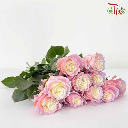 Rose Mondial Dyed Aurora Boreal (8-10 Stems) - Pudu Ria Florist Southern