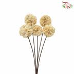 Dry Octagonal Ball - White - Pudu Ria Florist Southern