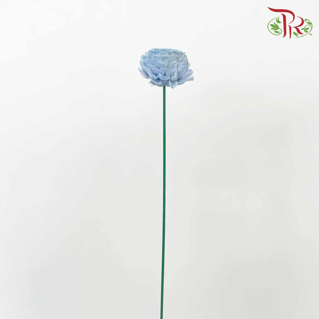 Dry Aeschynomene Aspera - Blue - Pudu Ria Florist Southern