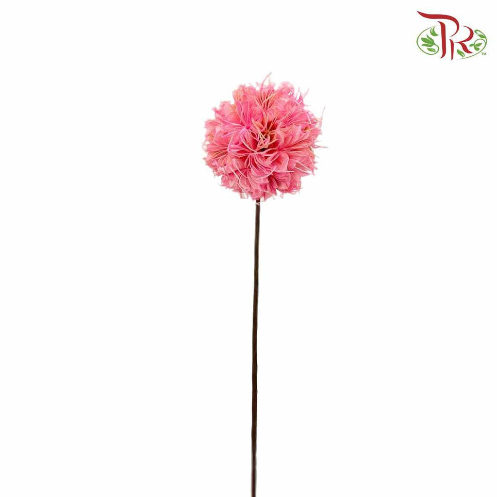 Dry Octagonal Ball - Pink - Offer Item - Pudu Ria Florist Southern