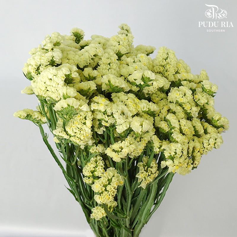 Statice Yellow - Pudu Ria Florist Southern