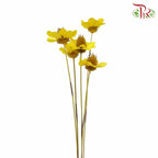 Dry Stella Luna - Yellow - Pudu Ria Florist Southern