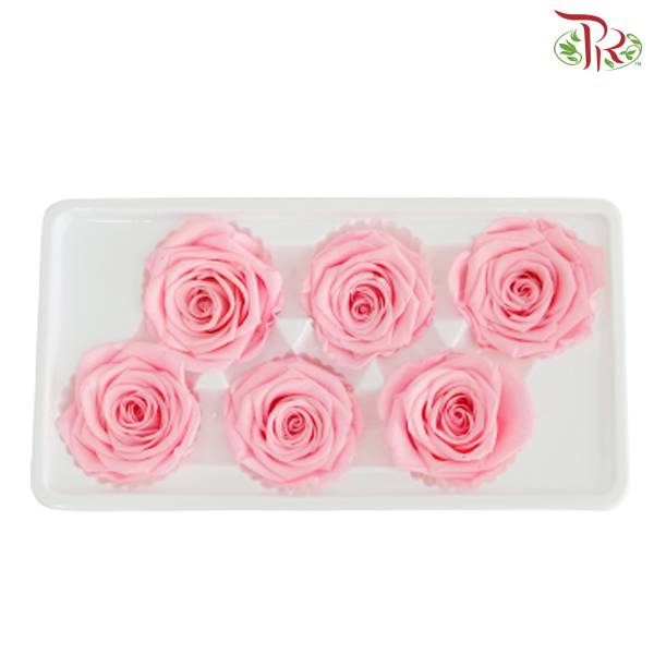 6 Bloom Preservative Rose -Light Pink - Pudu Ria Florist Southern