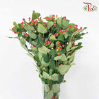 Berry Hypericum Red - Pudu Ria Florist Southern