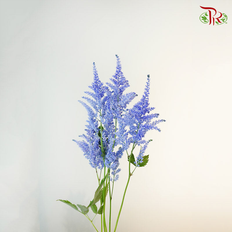 Astilbe Blue (4-5 Stems) - Pudu Ria Florist Southern