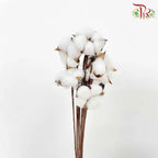 Artificial Cotton Flower - White - Pudu Ria Florist Southern
