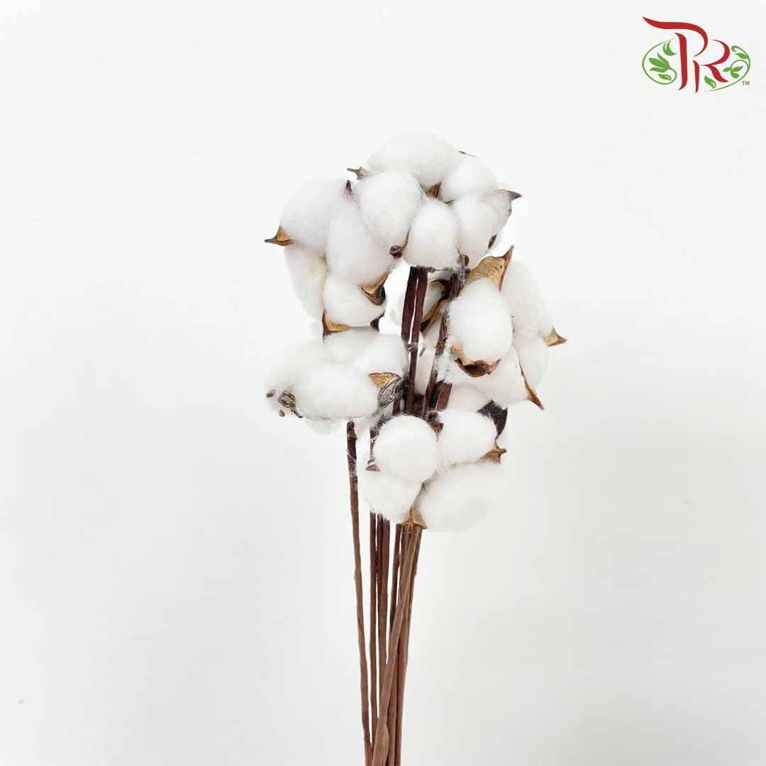 Artificial Cotton Flower - White - Pudu Ria Florist Southern