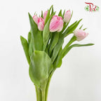 Tulip Light Pink (8-9 Stems) - Pudu Ria Florist Southern
