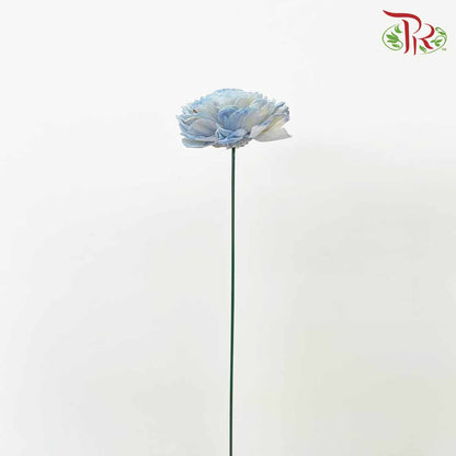 Dry Aeschynomene (Big) - Blue - Pudu Ria Florist Southern