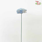Dry Aeschynomene (Big) - Blue - Pudu Ria Florist Southern
