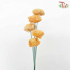 Dry Aeschynomene (Big) - Orange - Pudu Ria Florist Southern