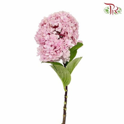 Hydrangea Light Pink / Per Stem - Pudu Ria Florist Southern