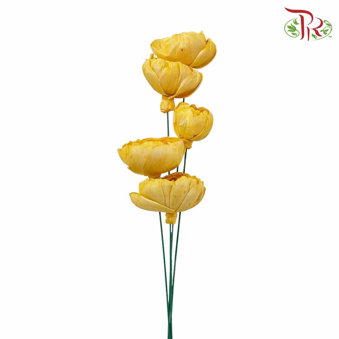 Dry Sola Rose Big - Yellow - Pudu Ria Florist Southern
