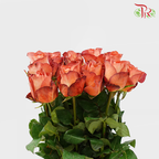 Rose Vintage (8-10 Stems) - Pudu Ria Florist Southern