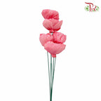 Dry Sola Rose Big - Pink - Pudu Ria Florist Southern