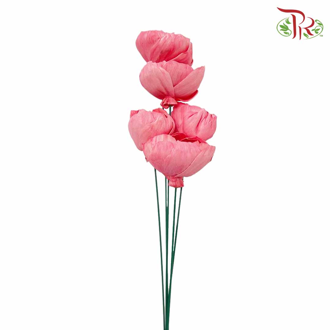 Dry Sola Rose Big - Pink - Pudu Ria Florist Southern