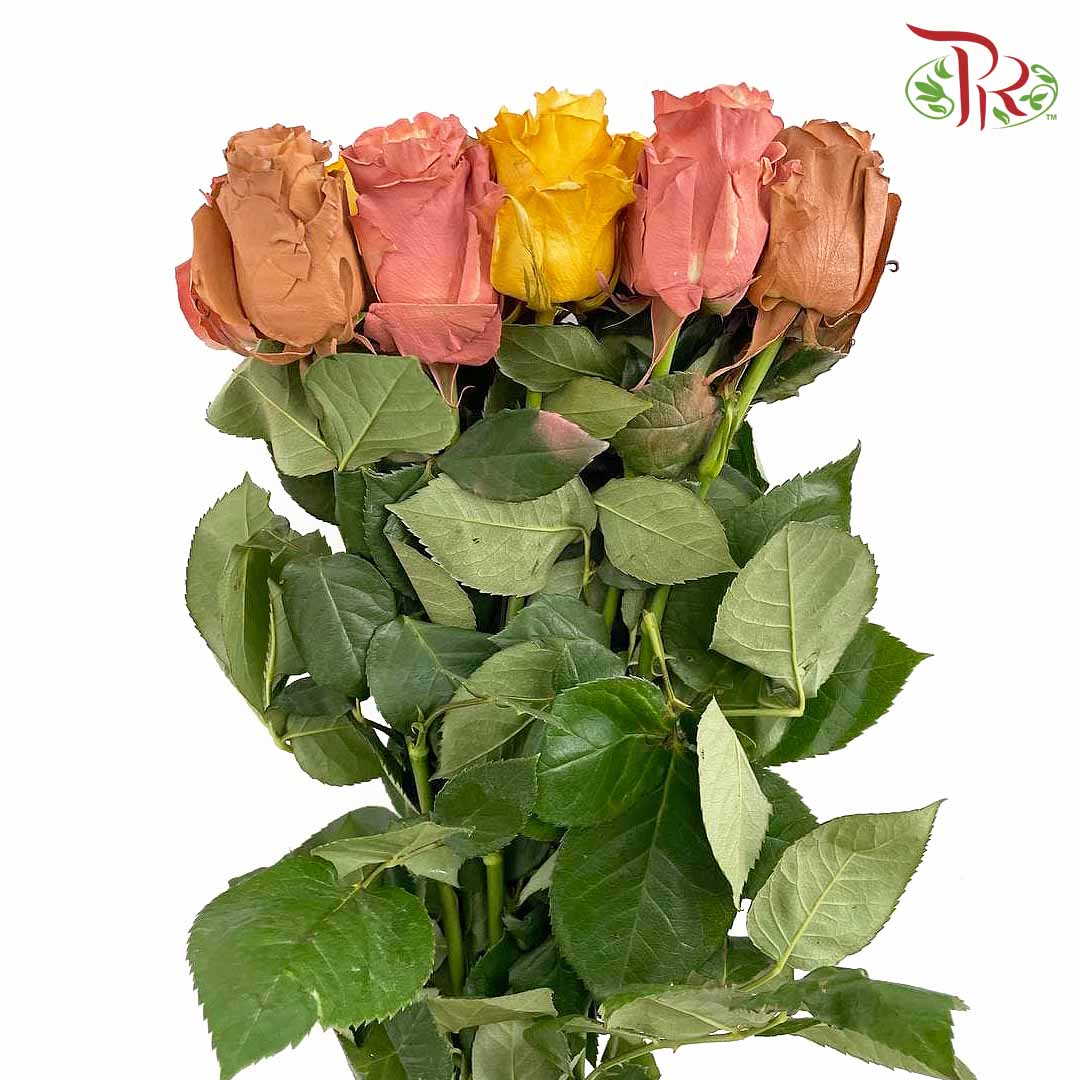 Rose Fall Mix2 (8-10 Stems) - Pudu Ria Florist Southern