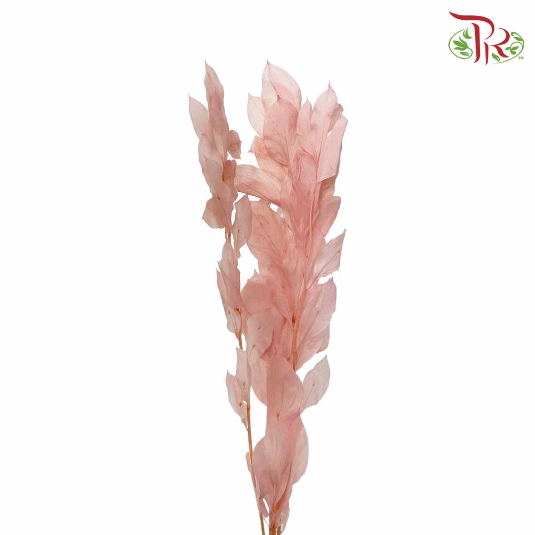 Dry Orange Leaf - Pink - Pudu Ria Florist Southern