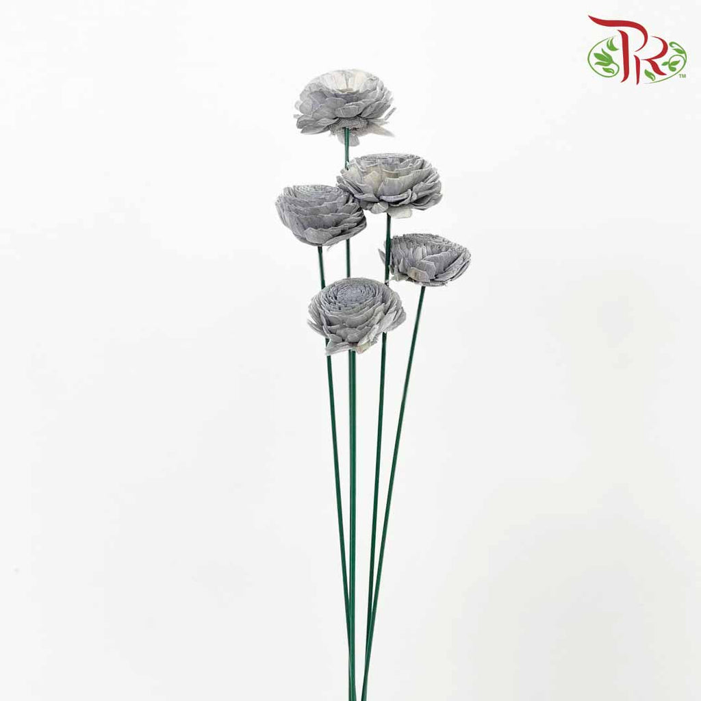 Dry Aeschynomene Aspera - Grey - Pudu Ria Florist Southern