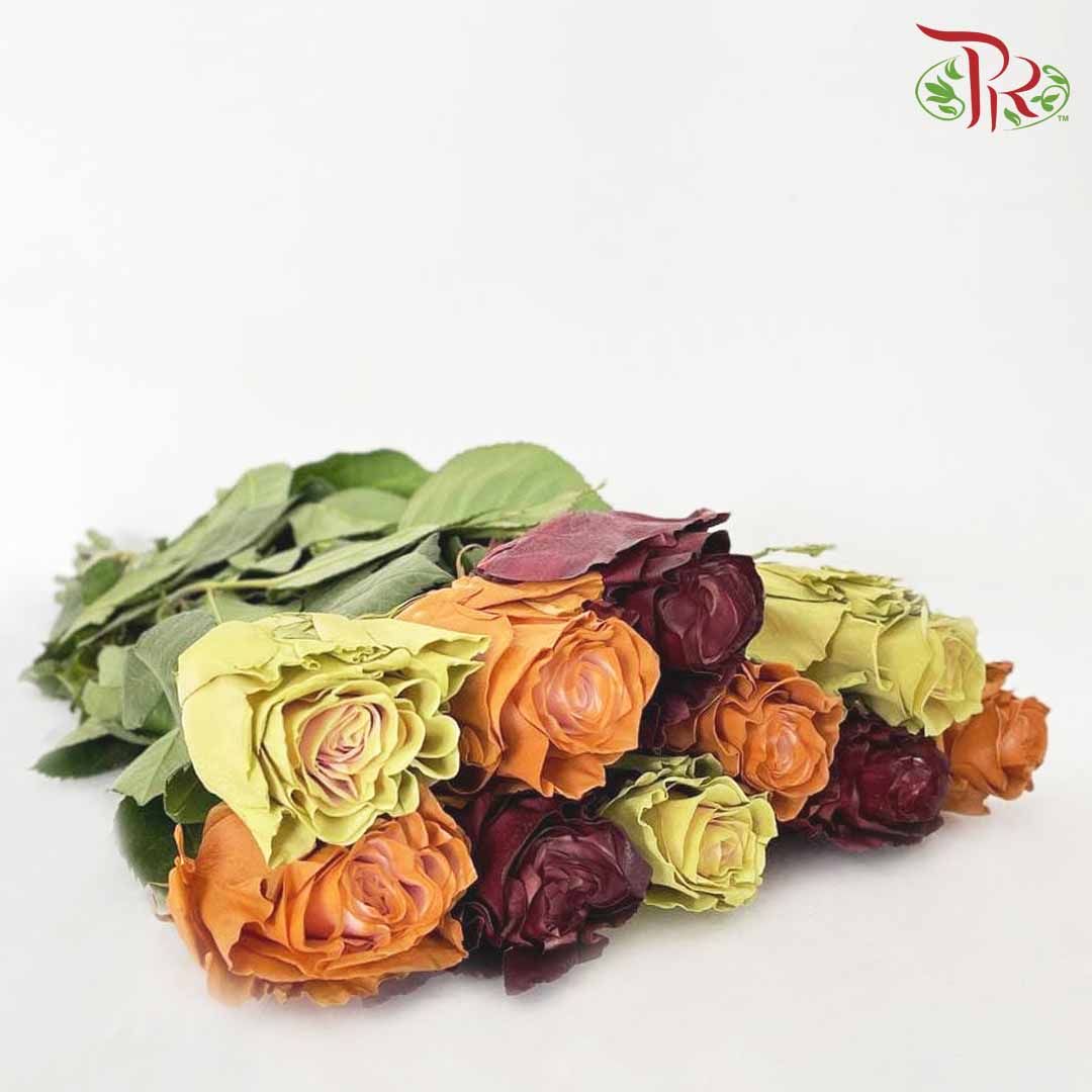 Rose Fall Mix3 (8-10 Stems) - Pudu Ria Florist Southern