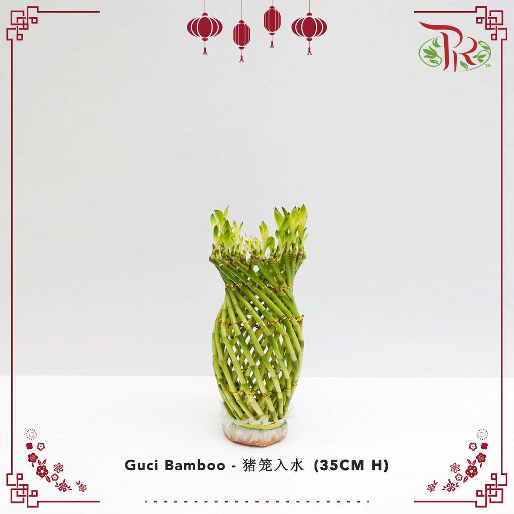Guci Bamboo (猪笼入水) - 35CM (H) - Pudu Ria Florist Southern