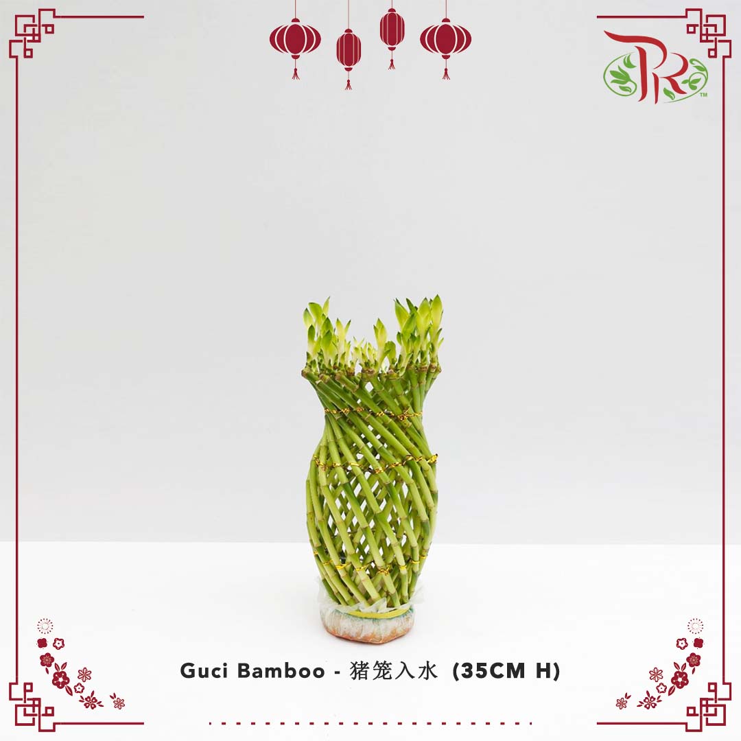 Guci Bamboo (猪笼入水) - 35CM (H) - Pudu Ria Florist Southern