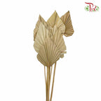 Dry Spear Palm (M) - Pudu Ria Florist Southern