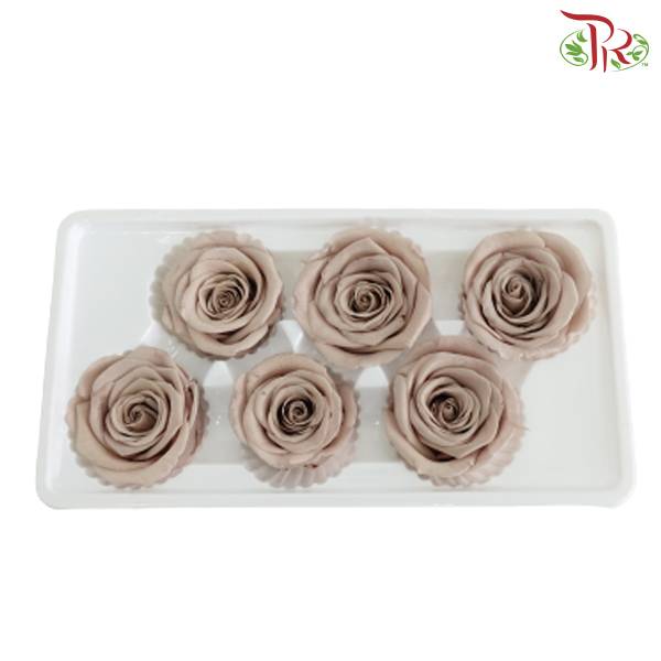 6 Bloom Preservative Rose - Light Brown
