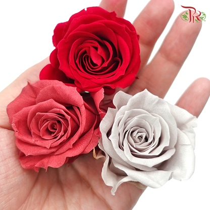 Preservative Rose Kanon - Dark Colors - Pudu Ria Florist Southern