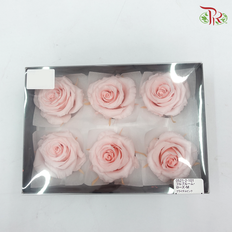 Preservative Full Bloom Rose (6 Blooms) - Light Pink